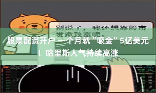 股票配资开户 一个月就“吸金”5亿美元！哈里斯人气持续高涨