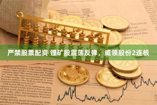 严禁股票配资 锂矿股震荡反弹，威领股份2连板
