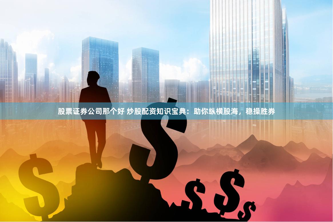 股票证券公司那个好 炒股配资知识宝典：助你纵横股海，稳操胜券